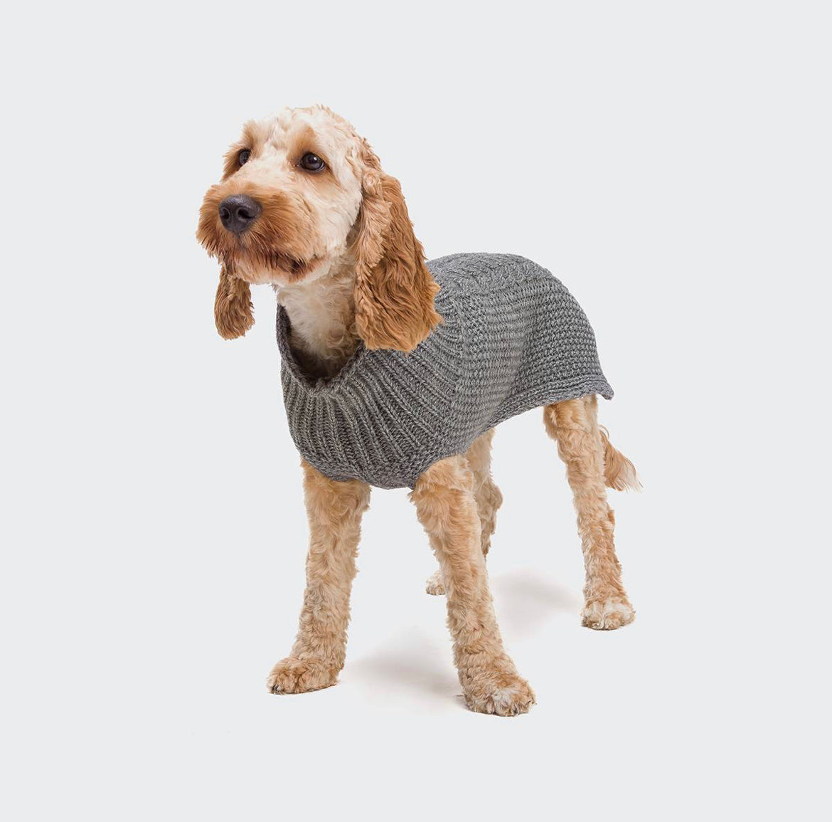 Best dog jumper, dog jumpers, dog jumpers Australia, jumpers for dogs, puppy jumpers, pet jumpers 