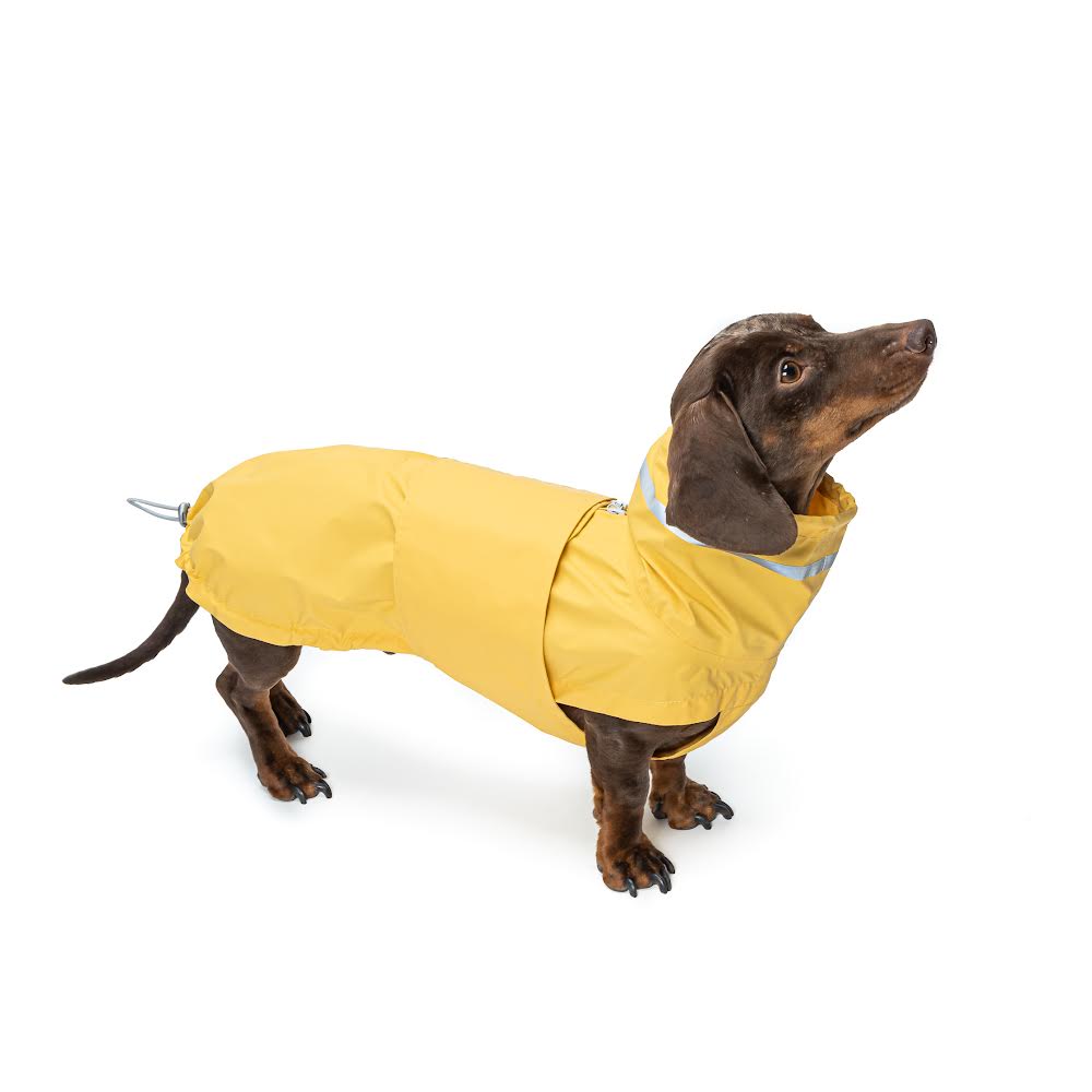 Best cloud7 dog coat, cloud 7 dachshund coat, cloud 7, cloud seven, cloud7 dog collar, cloud7 dog jacket, cloud 7 dog coat, cloud7 bag, 