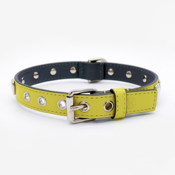 Emma Firenze Leather Dog Collar with Hearts Motif in Lemon or Fuschia