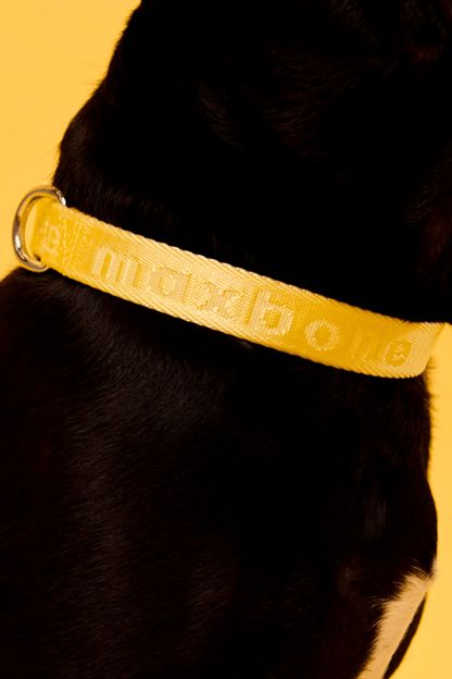 MAXBONE GO! Signature Dog Collar