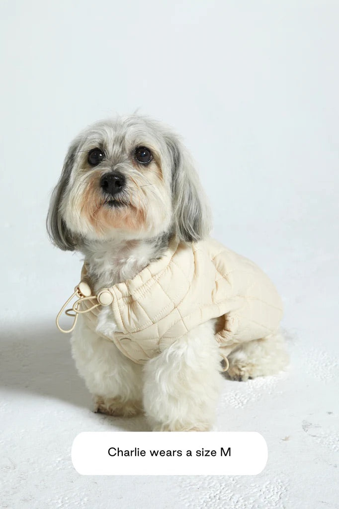 MAXBONE Easy Fit Dog Jacket