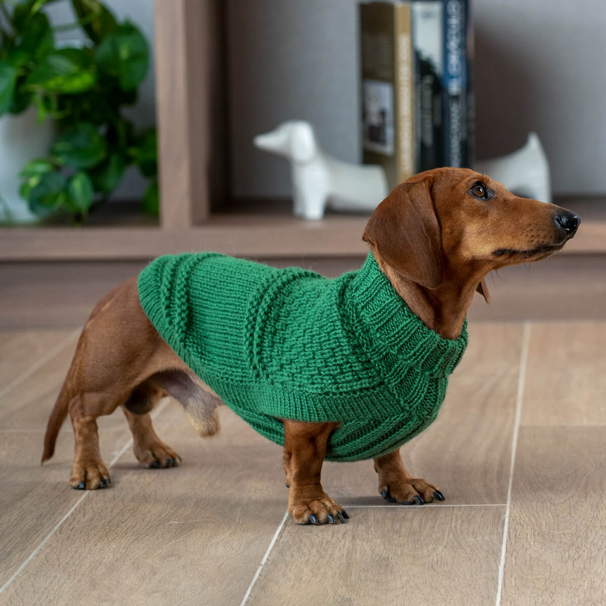 Dog Jumper 