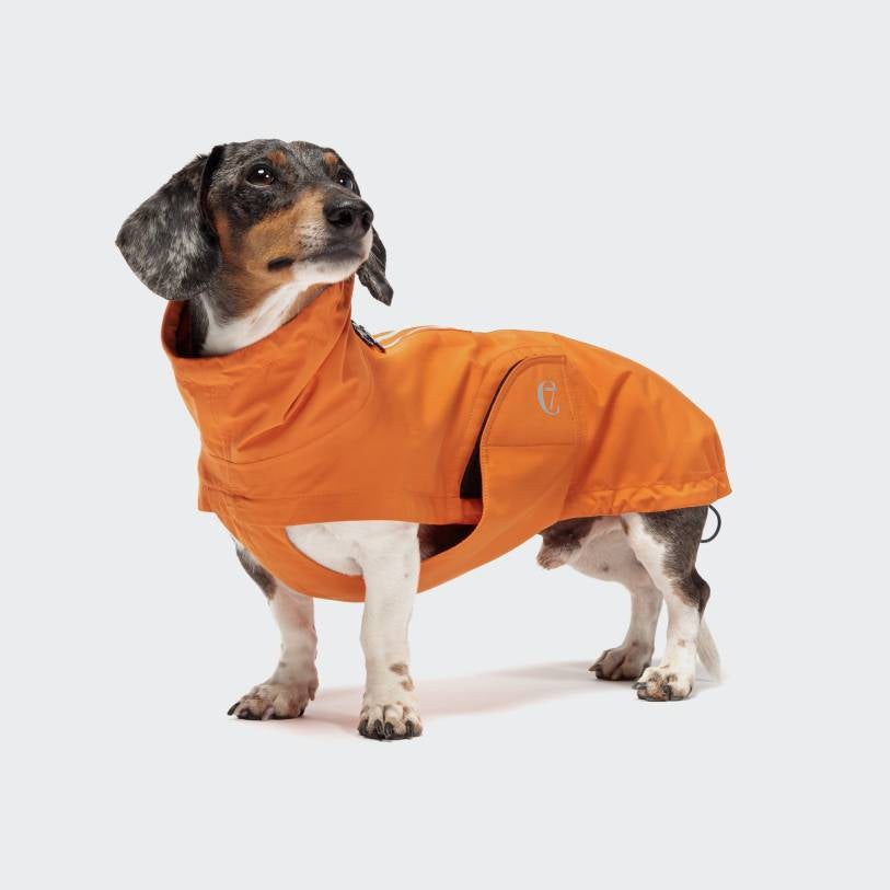 Cloud7 Dublin Dachshund Dog Raincoat - Available in Olive & Orange