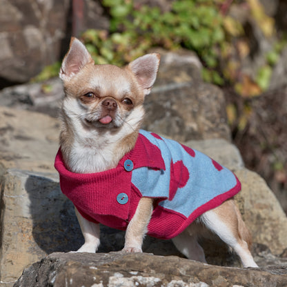 Emma Firenze Dog Jumper in Cashmere with Hearts Motif for Petite Pups