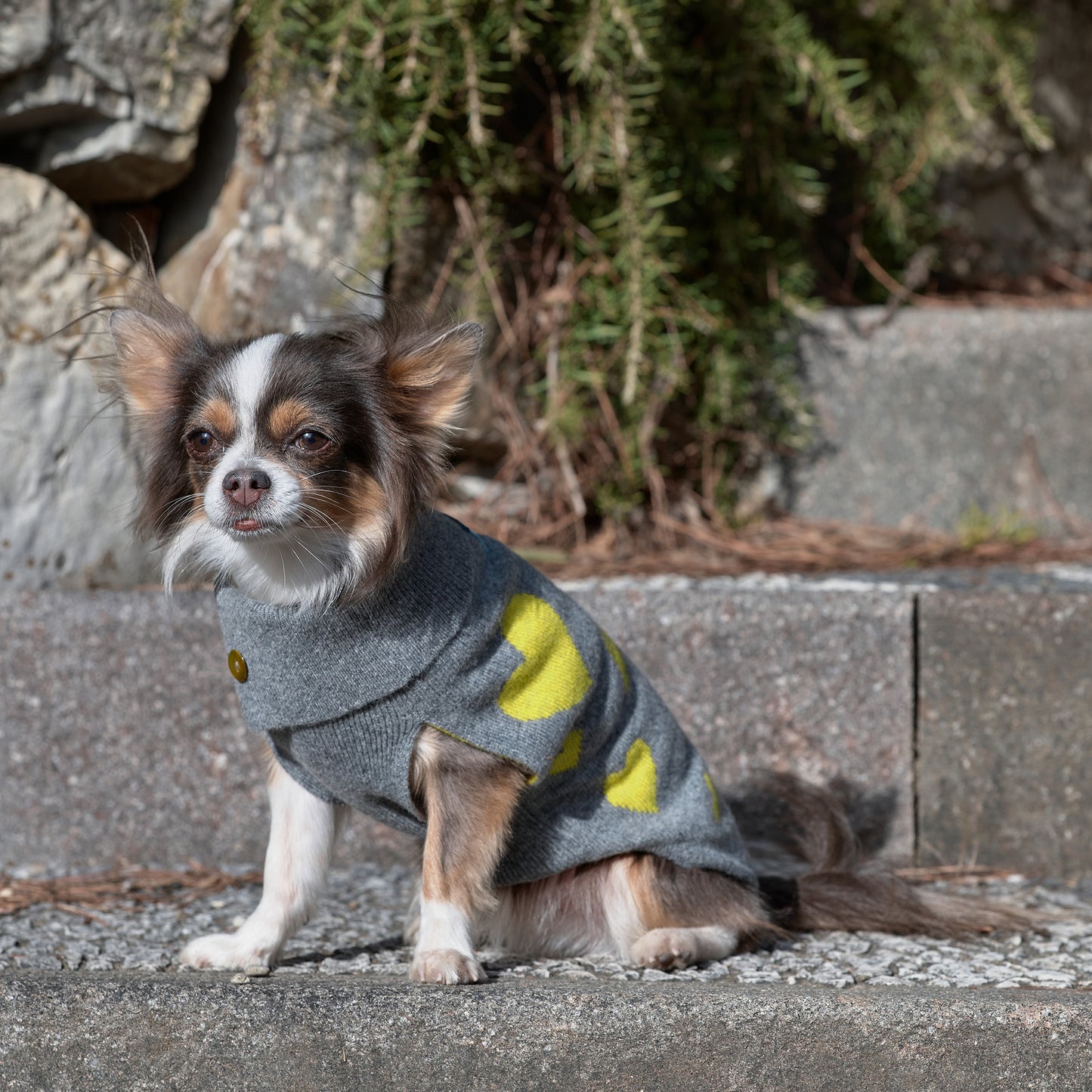 Emma Firenze Dog Jumper in Cashmere with Hearts Motif for Petite Pups