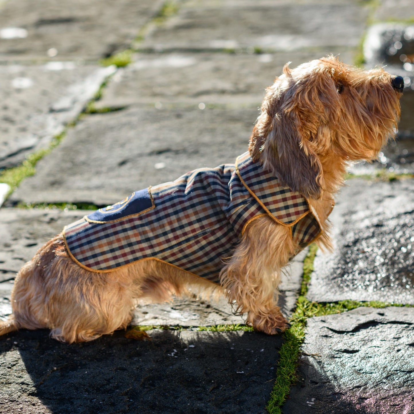 Emma Firenze Bespoke Checked Dog Coat with Shearling Lining