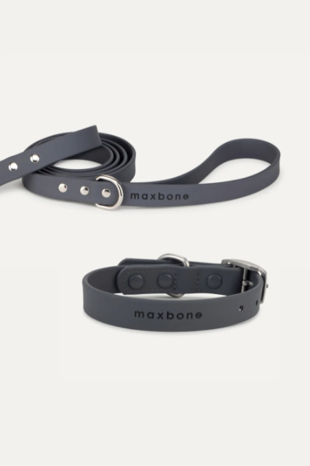 Hazel Dog Lead & Collar Bundle in CHARCOAL