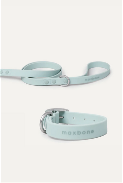 Hazel Dog Lead & Collar Bundle in MINT