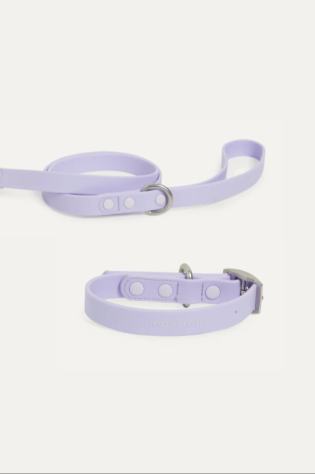 Hazel Dog Lead & Collar Bundle in LAVENDER