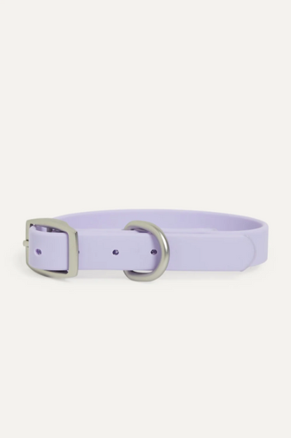 Hazel Dog Lead & Collar Bundle in LAVENDER