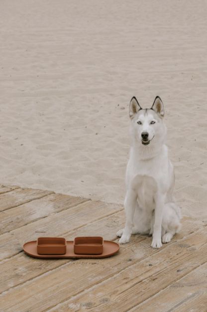 MAXBONE SQUARE DOG BOWL AND MAT SET (2 BOWLS & MAT)