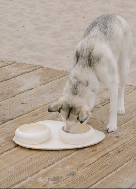 MAXBONE Dog Bubble Bowl & Mat Set (2 bowls & mat)