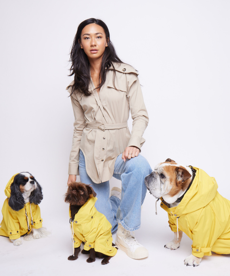 MAXBONE Talon Dog Raincoat in Yellow, Camel & Mint