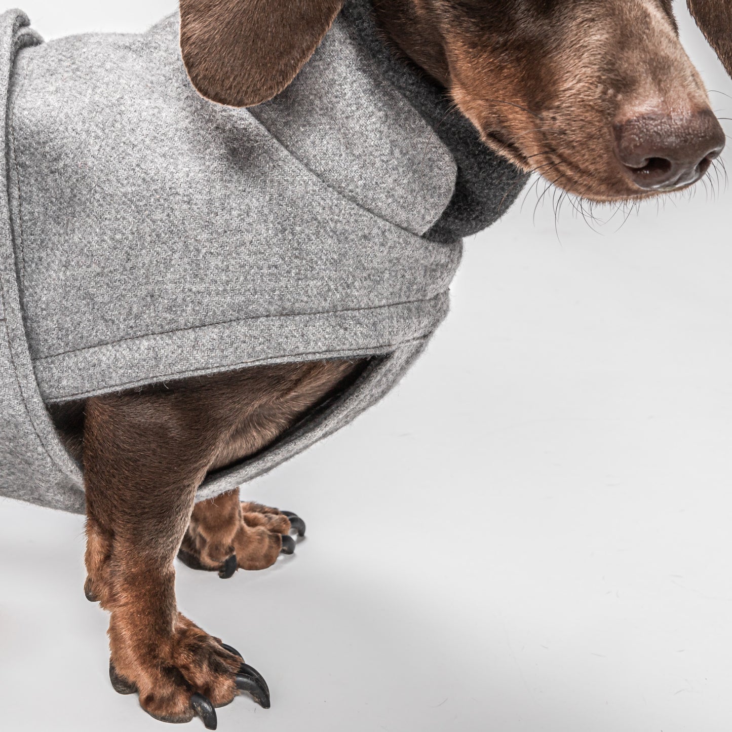 Dog Coat Cloud7 Brooklyn DACHSHUND Flannel Grey