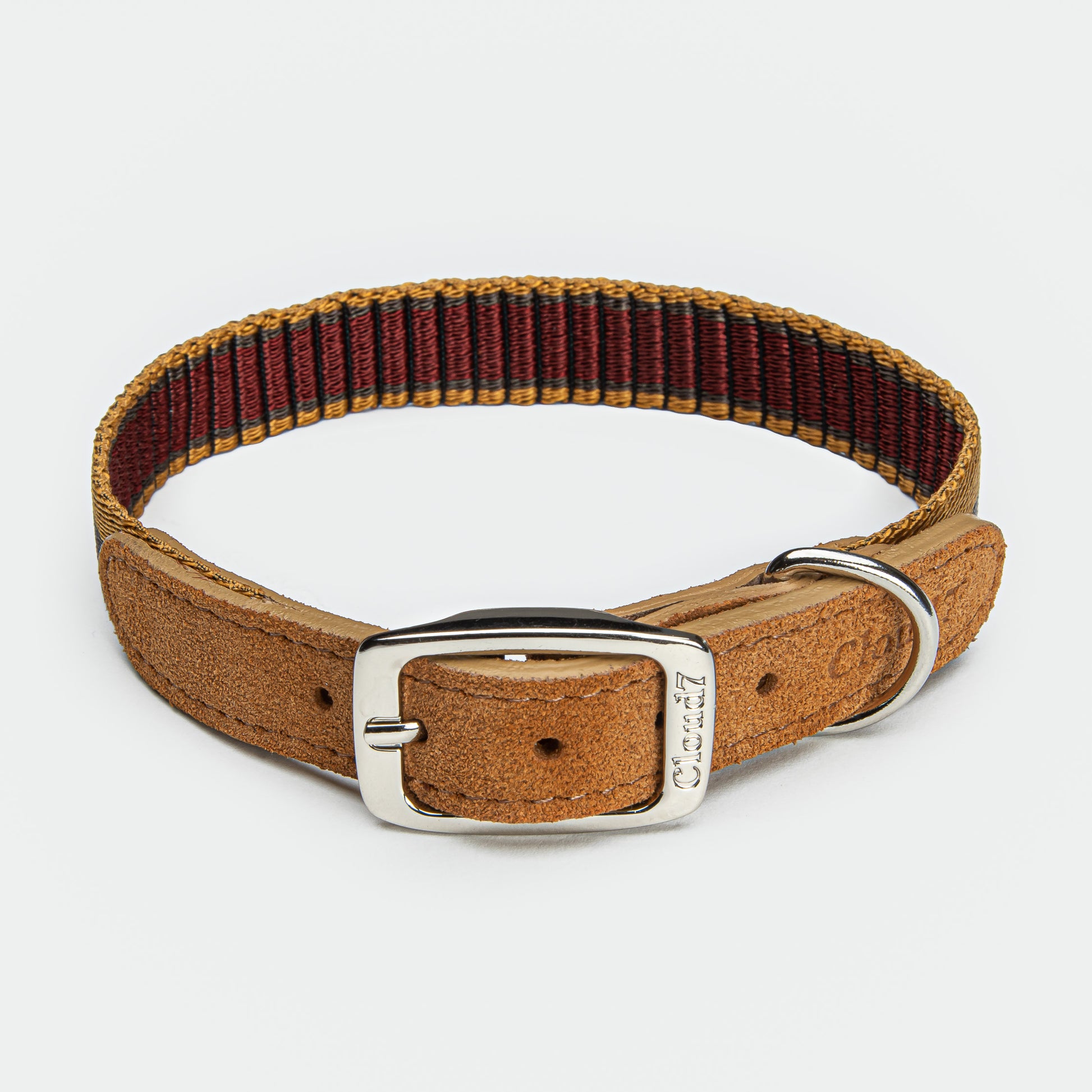 dog collar sunset or forest