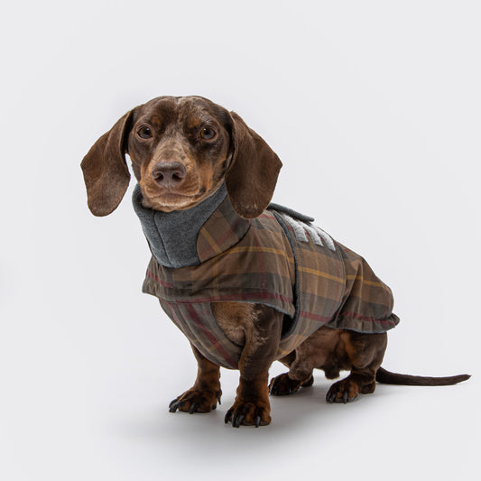 Dog Coat Cloud7 Brooklyn DACHSHUND Tartan with Fleece