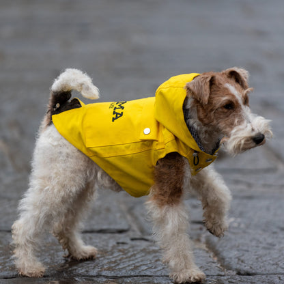 EMMA FIRENZE MADE TO MEASURE Dog RAINCOATS IN "FIRE DOG" YELLOW & "REFLECTIVE" SILVER