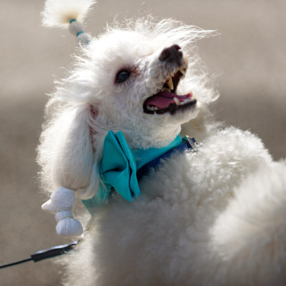 Emma Firenze Bespoke Silk DOG Bow Tie