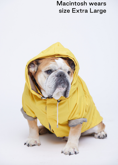 MAXBONE Talon Dog Raincoat in Yellow, Camel & Mint