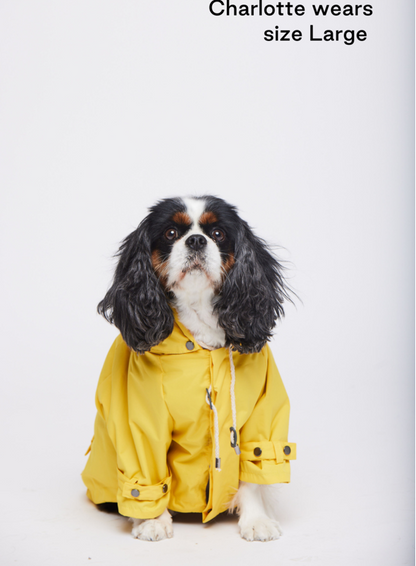 MAXBONE Talon Dog Raincoat in Yellow, Camel & Mint