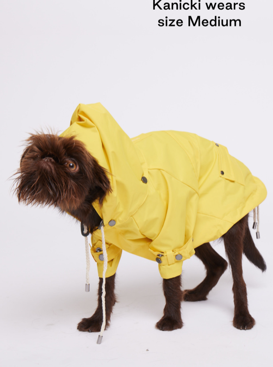 MAXBONE Talon Dog Raincoat in Yellow, Camel & Mint