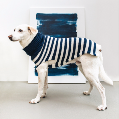  Cloud7 Dog jumpers