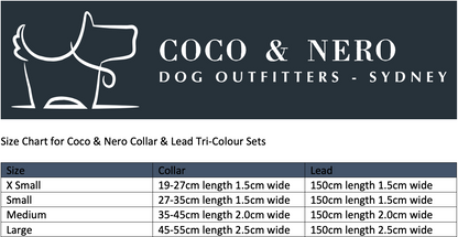 Dog Collar & Lead SET by Coco & Nero Sydney in Lemon, Pink & Blue