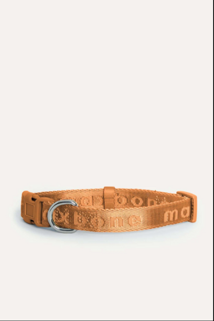 MAXBONE GO! Signature Dog Collar