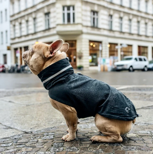 French Bulldog Coats Raincoats Stylish Cozy Outerwear Coco and Nero