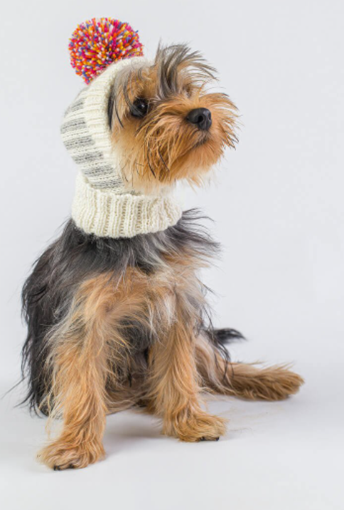 Dog hat Jumpers