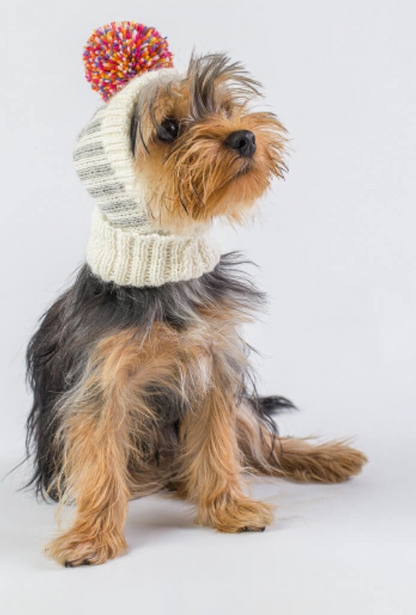 Dog hat Jumpers