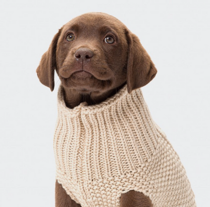 Dog Jumpers - Cloud7 Oslo Knitted Jumper