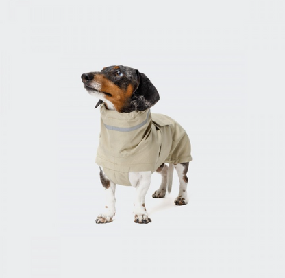 Dog Raincoat for Dachshunds - Hamburg in Ivory