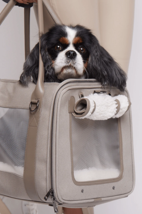 Global Citizen Dog Carrier - Available to Pre Order