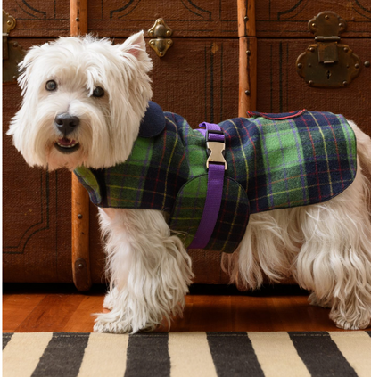 Emma Firenze Tartan Dog Coat