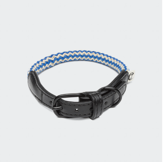 Best dog collar