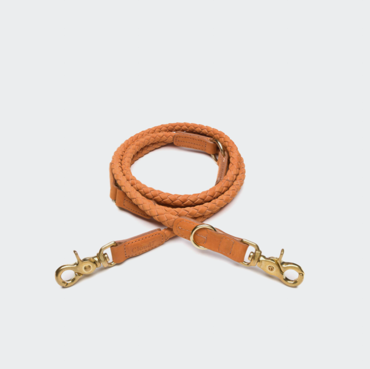 Best dog leads