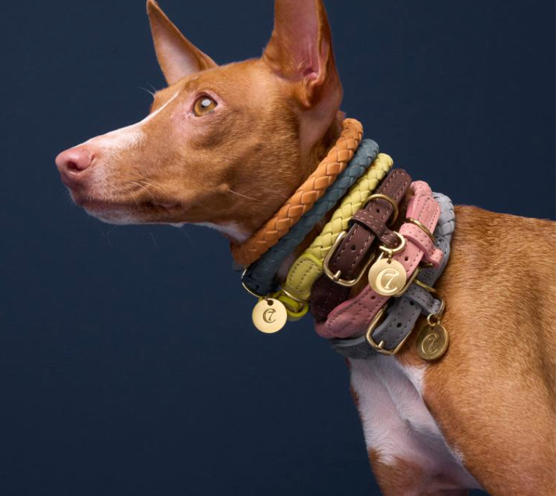 Cloud7 Ravello Dog Collar