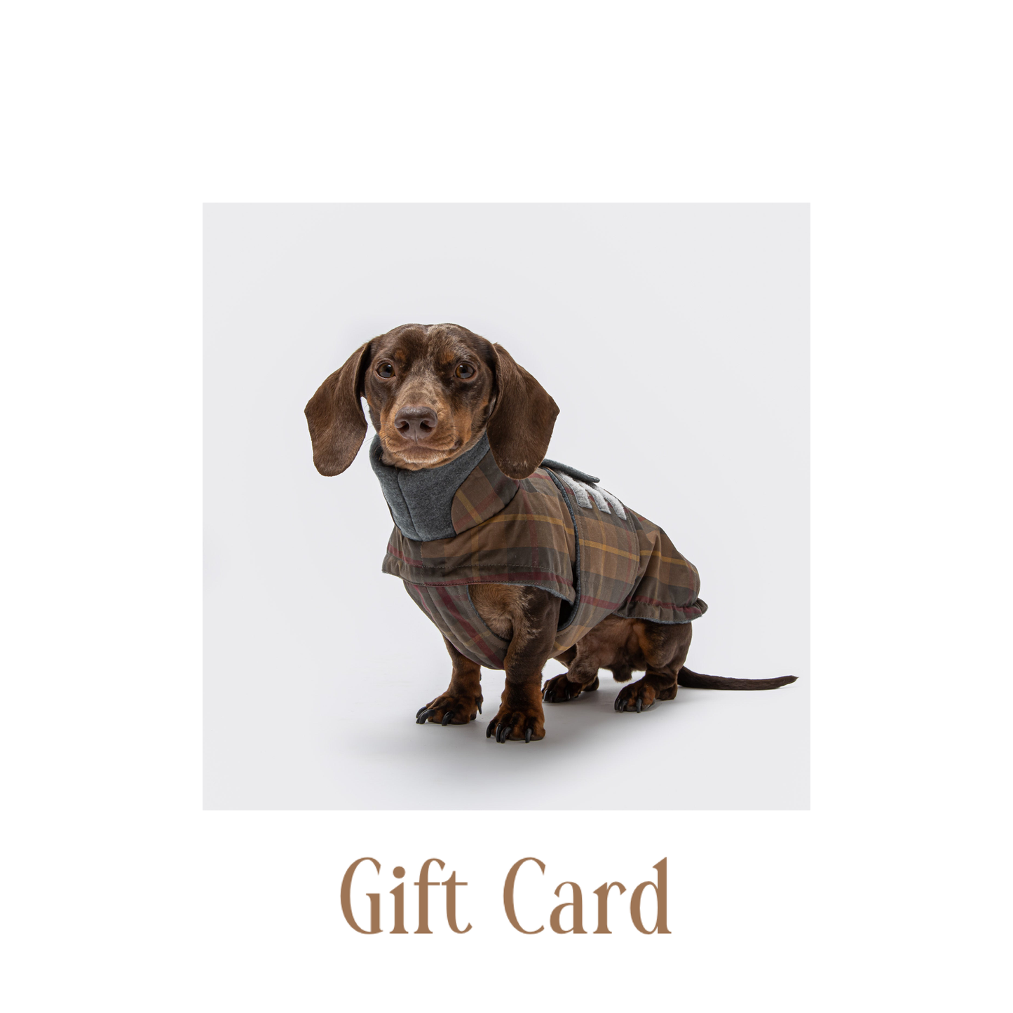 Coco & Nero Gift Card