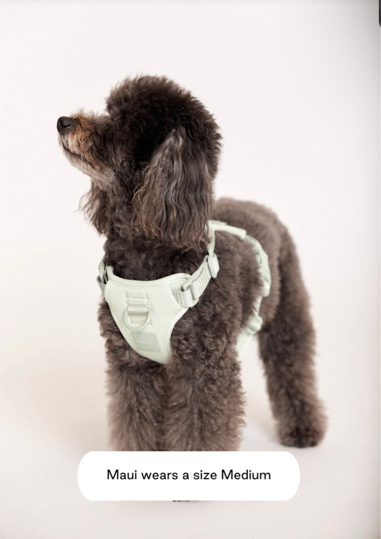 MAXBONE Double Panel Dog Harness in Lavender, Mint, Charcoal, Peach & Sand