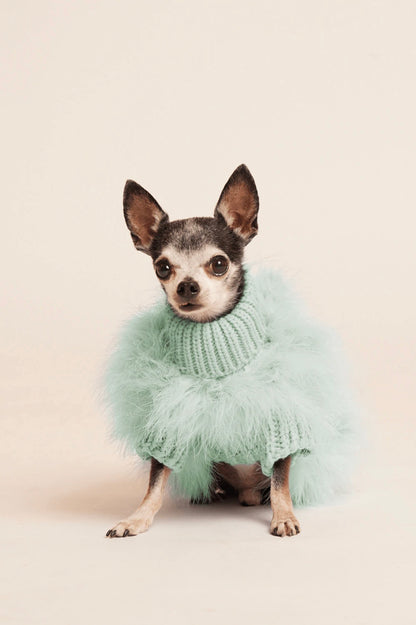 Best dog jumpers Australia