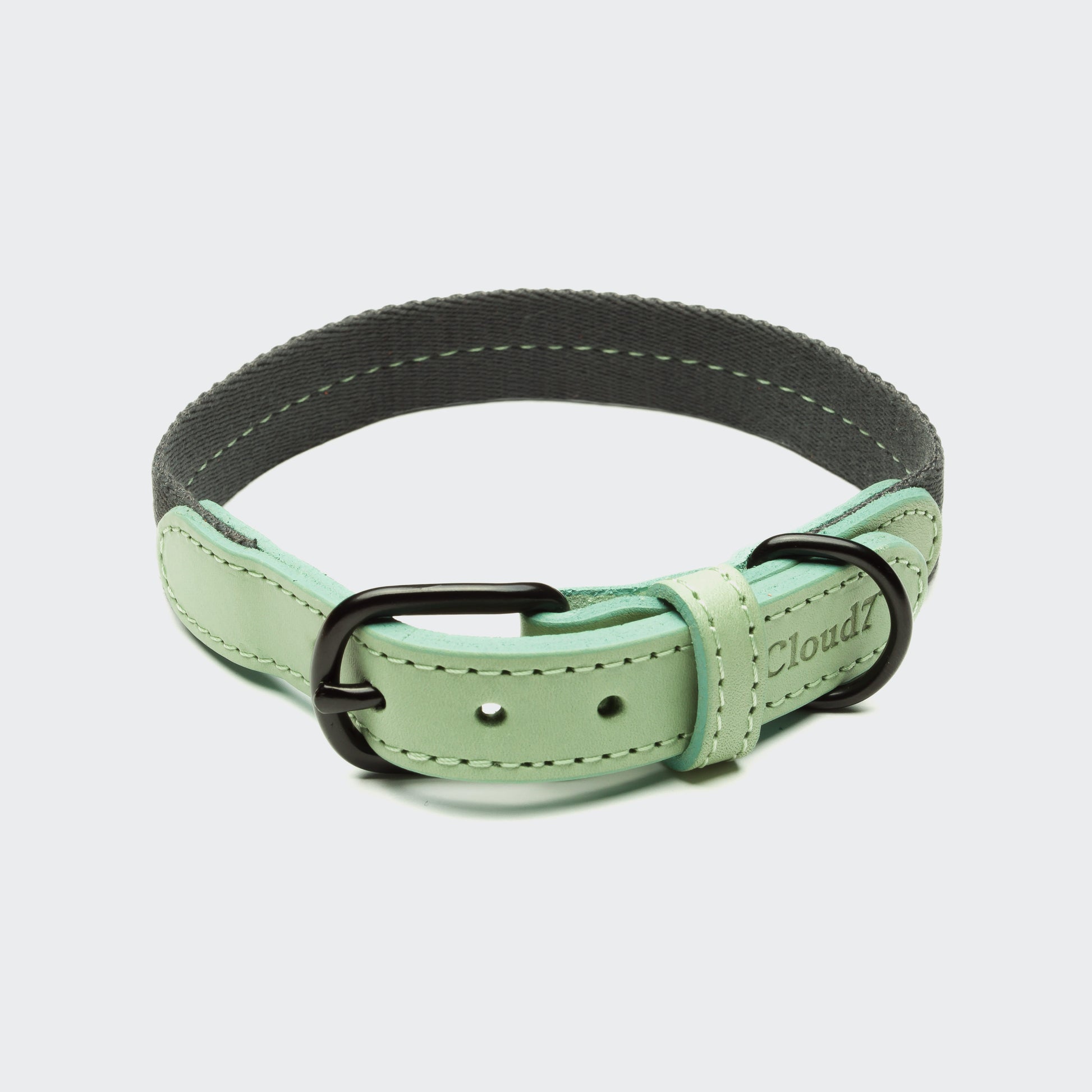 dog collars