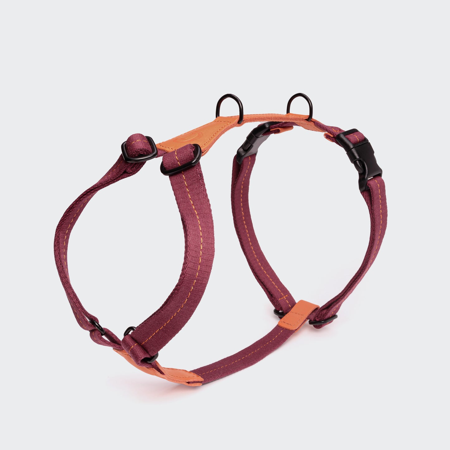 Two-Tone Dog Harness