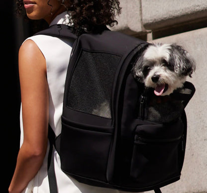 MAXBONE GO! Everywhere Dog Backpack in Mauve & Black