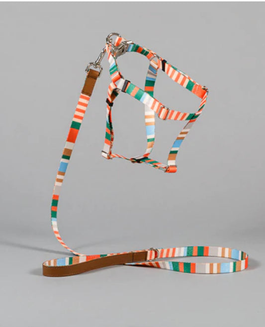 Ware of the Dog Orange Striped Webbing Harness