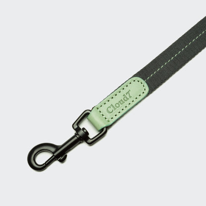 Cloud7 Dog Leash Madeira