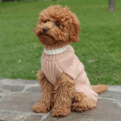  Dusty Rose dog jumper