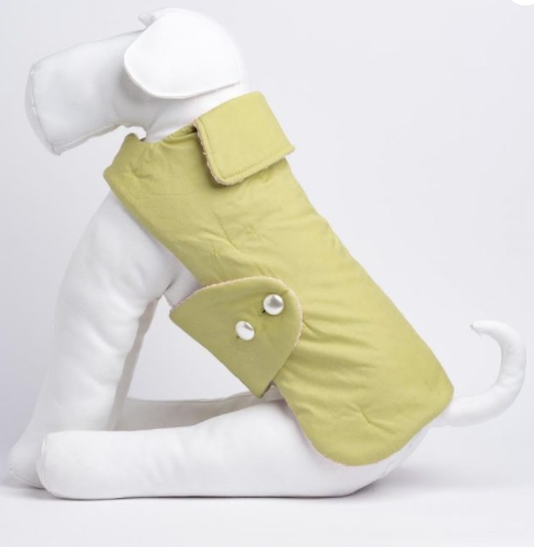 dog raincoat