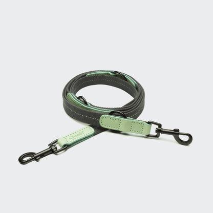 Cloud7 Dog Leash Madeira