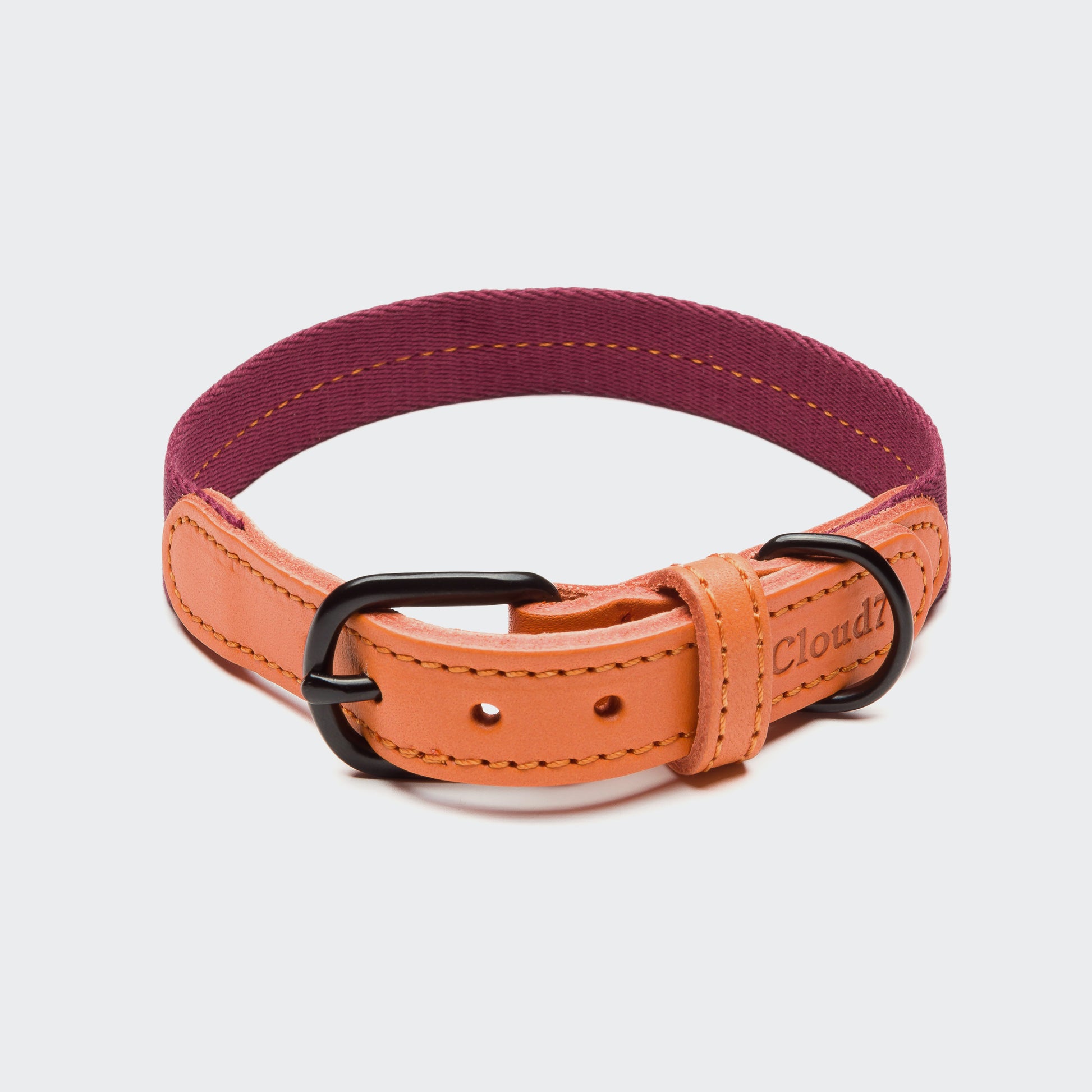 Best  dog collar